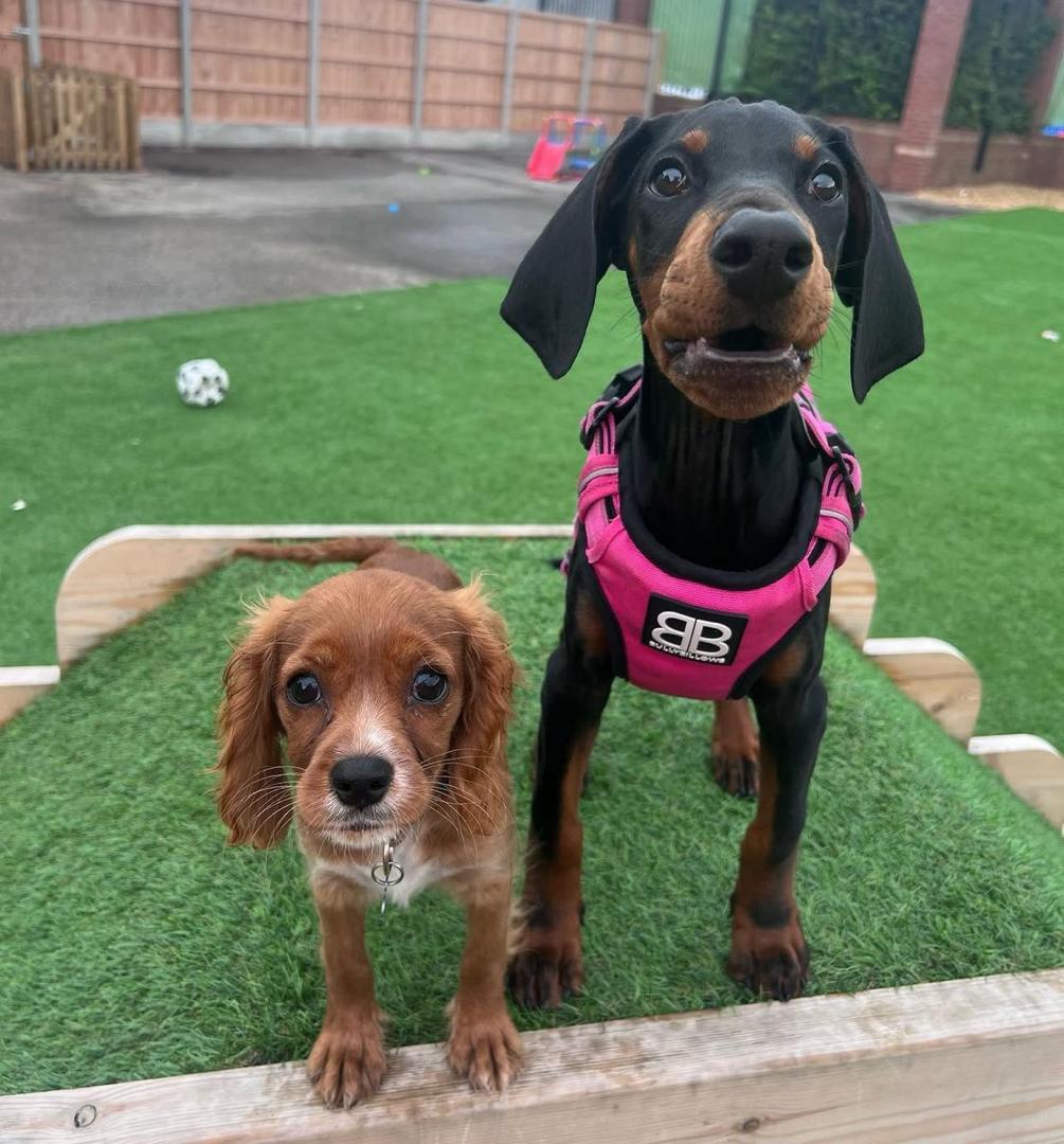 WhatsApp Image 2026-02-14 at 5.11.05 AM