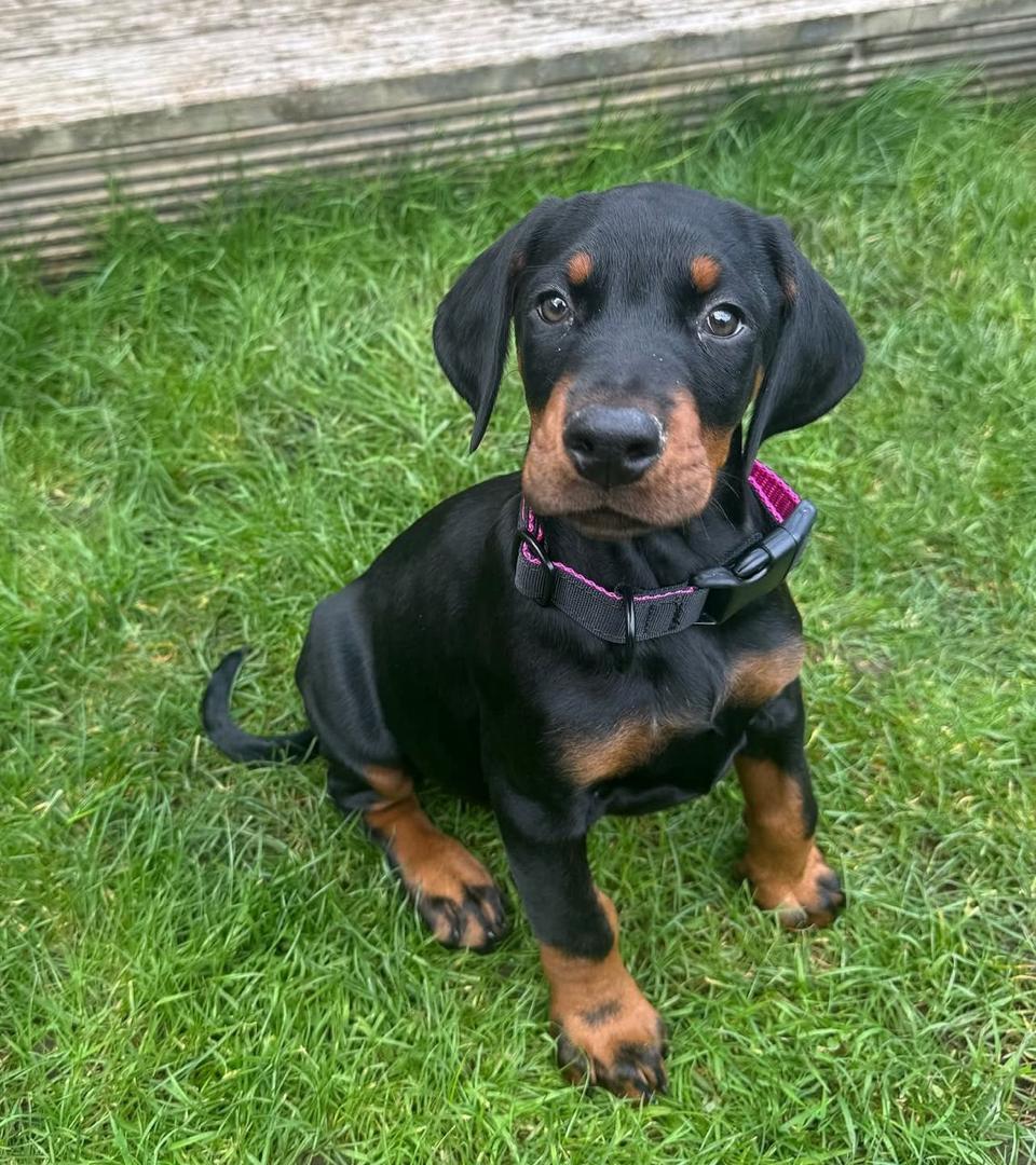 WhatsApp Image 2026-02-14 at 5.11.27 AM