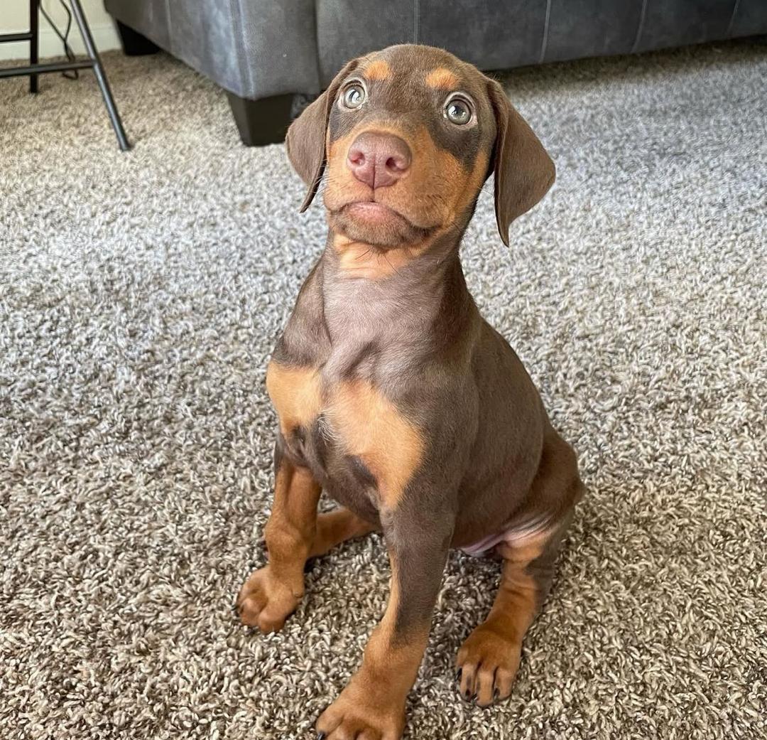 WhatsApp Image 2026-02-14 at 5.12.07 AM