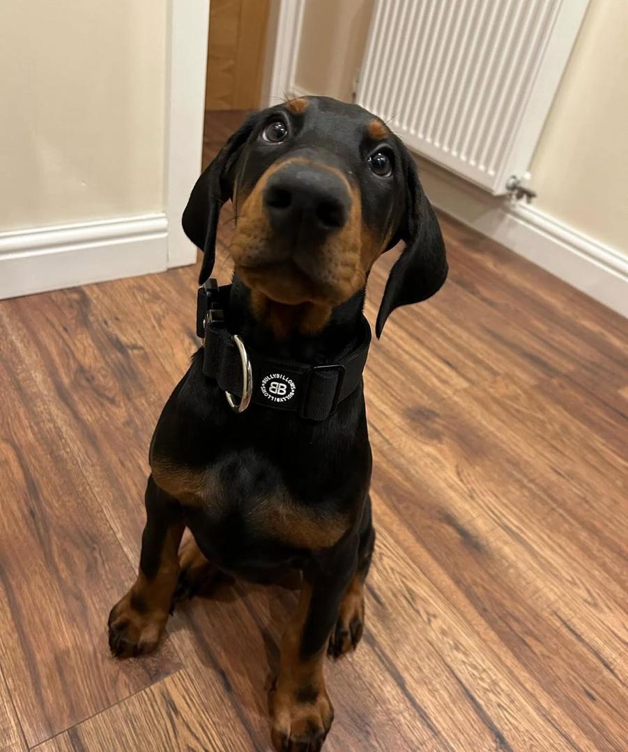 WhatsApp Image 2026-02-14 at 5.12.35 AM