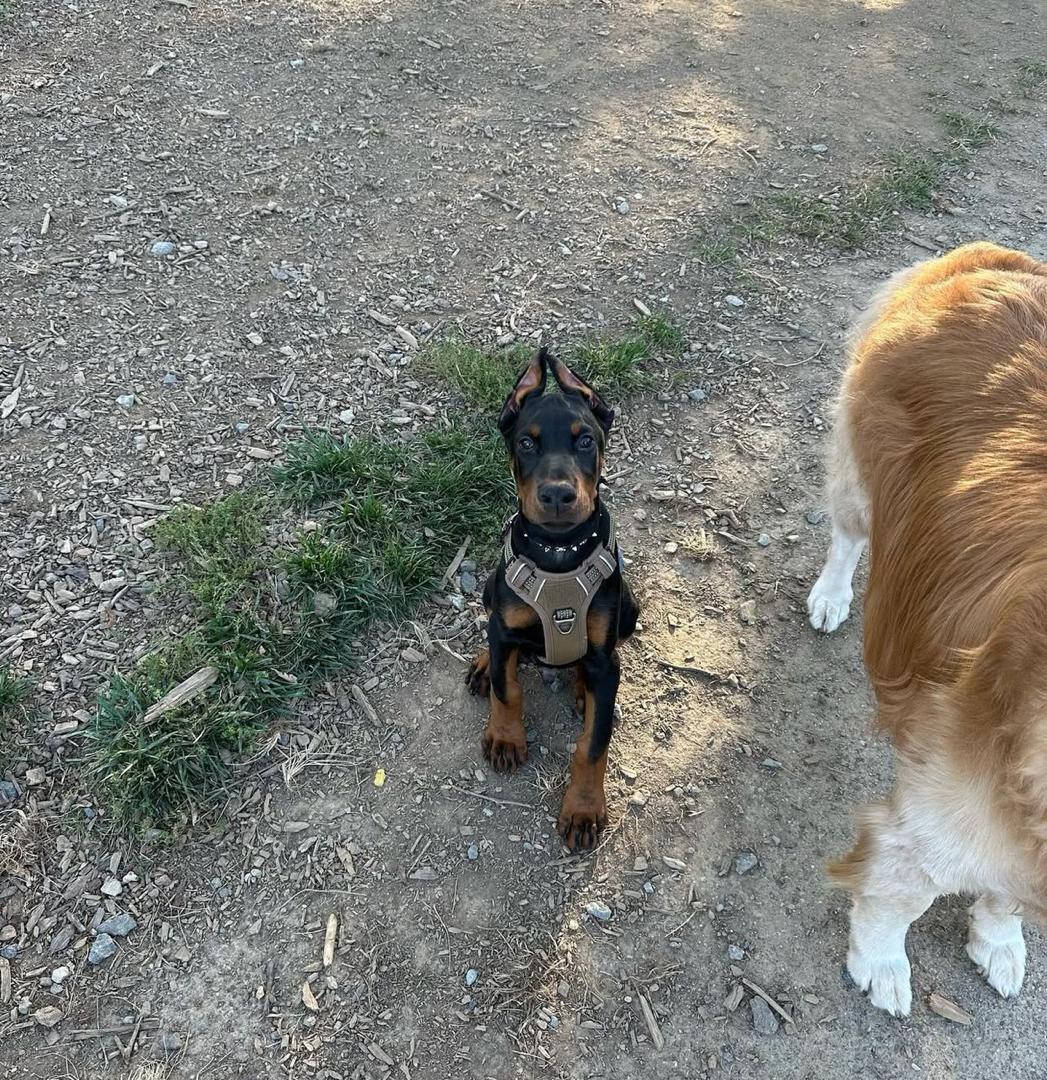 WhatsApp Image 2026-02-14 at 5.13.03 AM