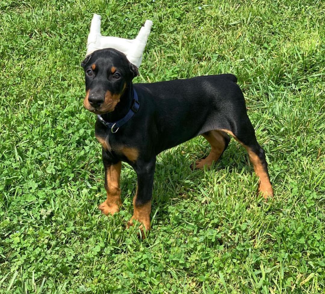 WhatsApp Image 2026-02-14 at 5.13.20 AM