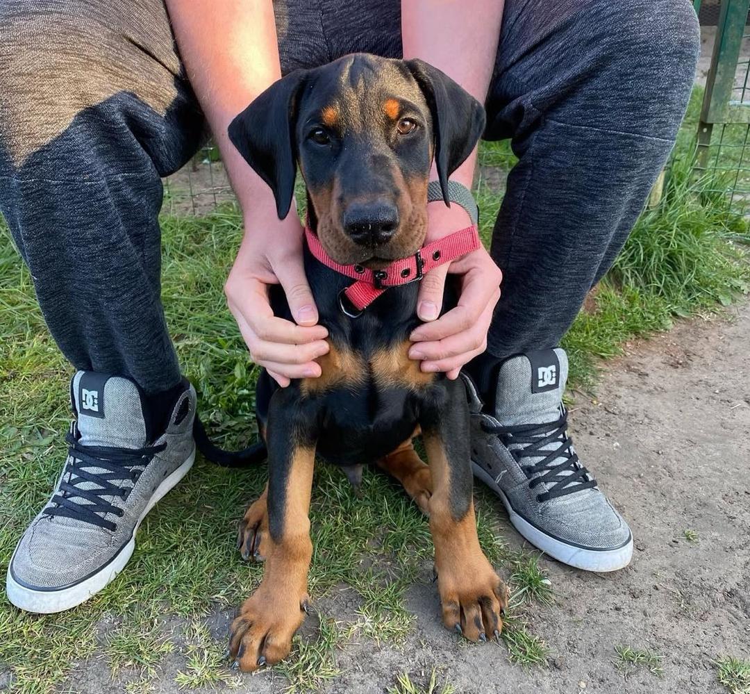 WhatsApp Image 2026-02-14 at 5.14.39 AM