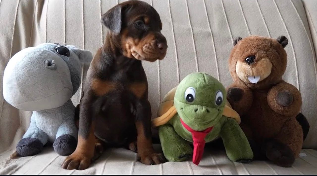 WhatsApp Image 2026-02-14 at 5.31.40 AM