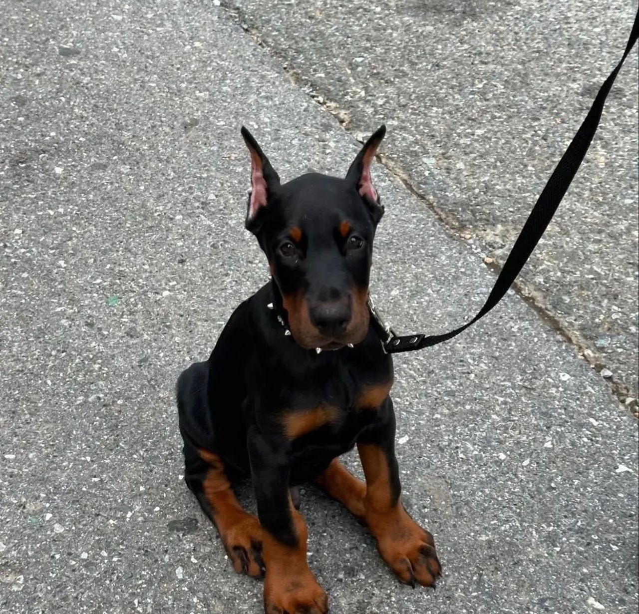 WhatsApp Image 2026-02-14 at 5.41.42 AM