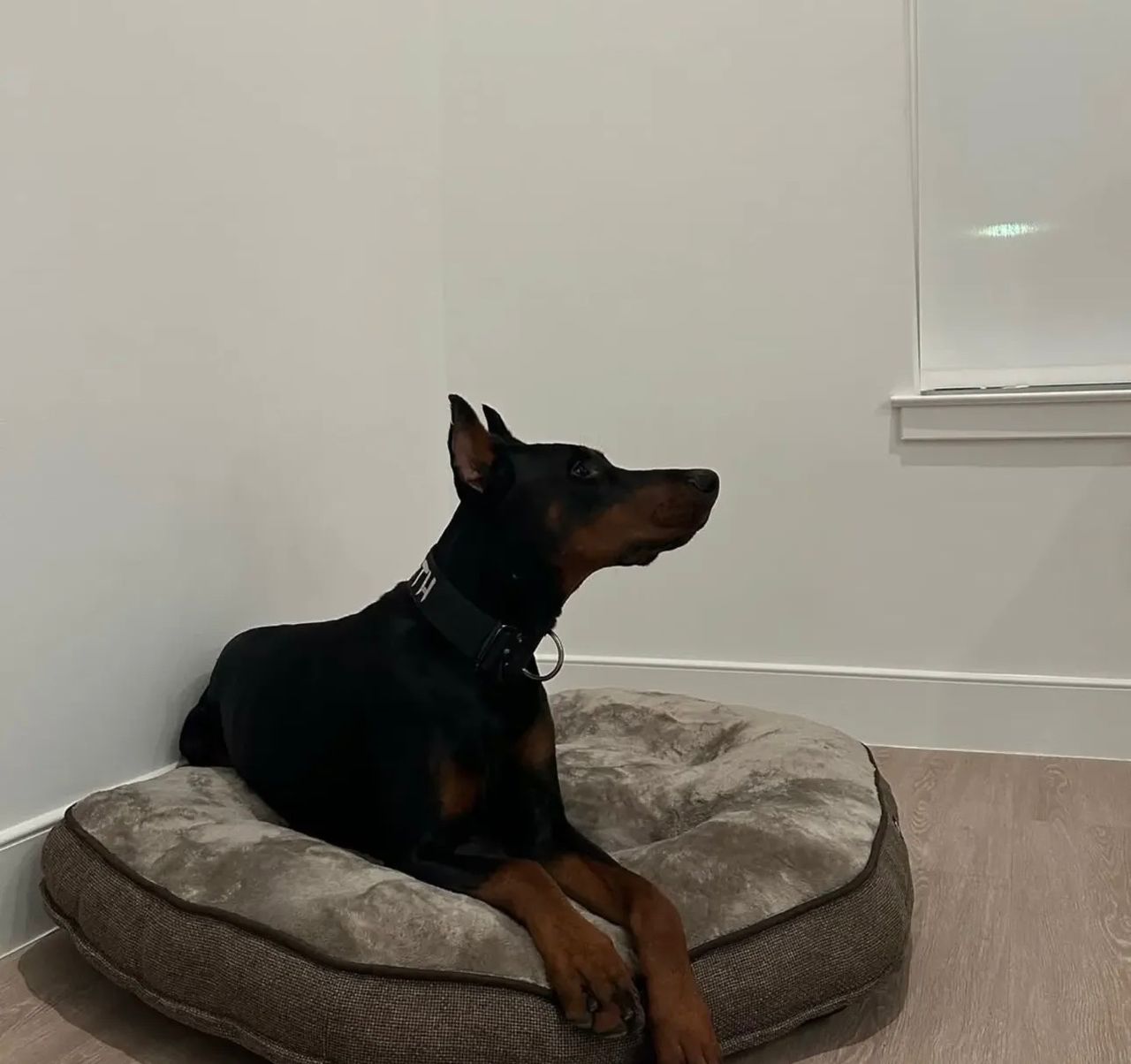 WhatsApp Image 2026-02-14 at 5.45.43 AM